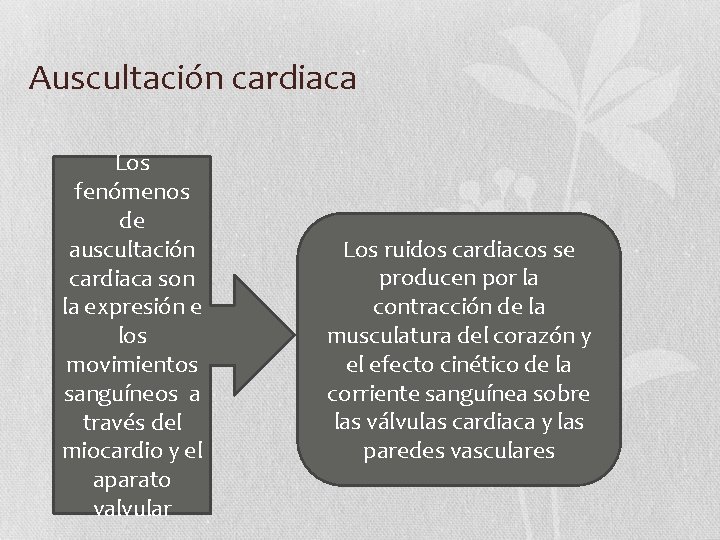 Auscultación cardiaca Los fenómenos de auscultación cardiaca son la expresión e los movimientos sanguíneos