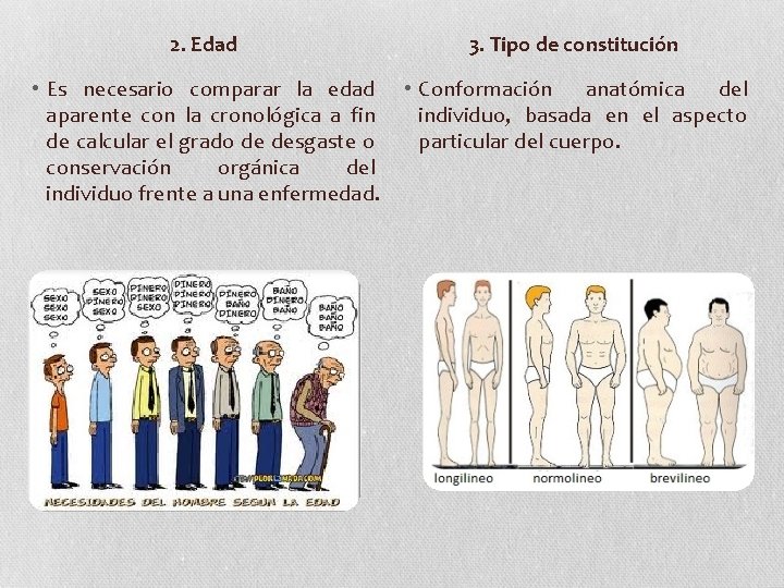 2. Edad 3. Tipo de constitución • Es necesario comparar la edad aparente con