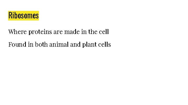 Ribosomes Where proteins are made in the cell Found in both animal and plant