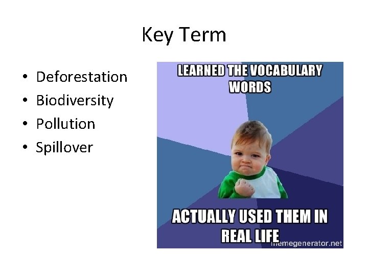 Key Term • • Deforestation Biodiversity Pollution Spillover 