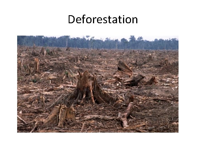 Deforestation 