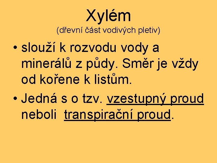 Xylém (dřevní část vodivých pletiv) • slouží k rozvodu vody a minerálů z půdy.