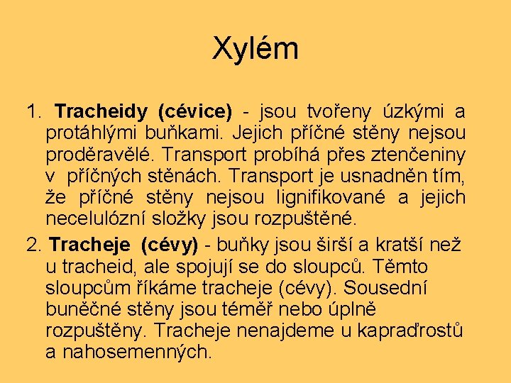 Xylém 1. Tracheidy (cévice) - jsou tvořeny úzkými a protáhlými buňkami. Jejich příčné stěny
