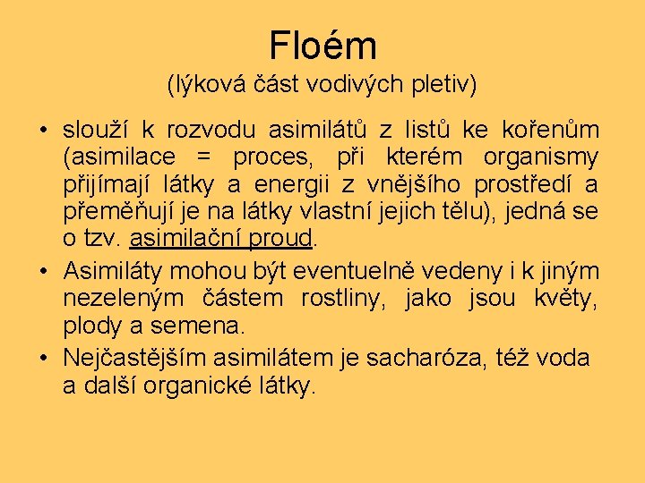 Floém (lýková část vodivých pletiv) • slouží k rozvodu asimilátů z listů ke kořenům
