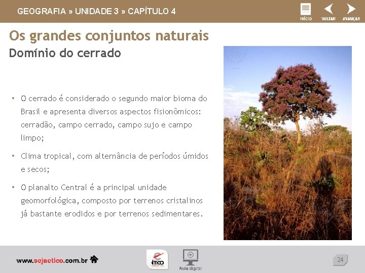 GEOGRAFIA » UNIDADE 3 » CAPÍTULO 4 Os grandes conjuntos naturais Domínio do cerrado