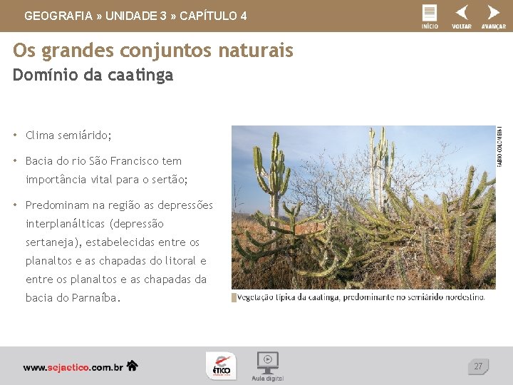 GEOGRAFIA » UNIDADE 3 » CAPÍTULO 4 Os grandes conjuntos naturais Domínio da caatinga