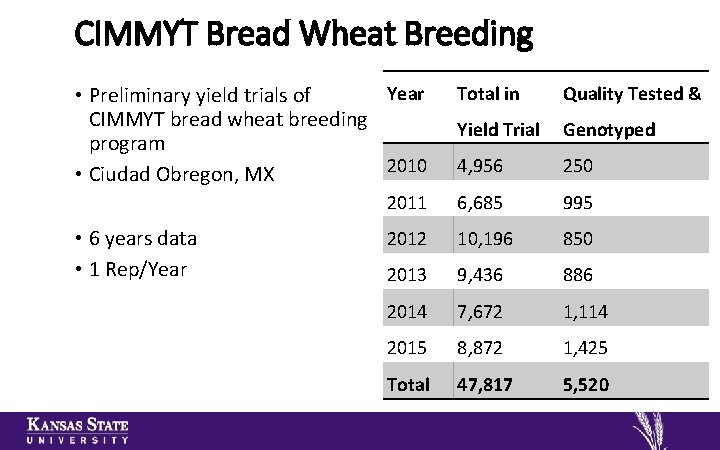 CIMMYT Bread Wheat Breeding Year • Preliminary yield trials of CIMMYT bread wheat breeding