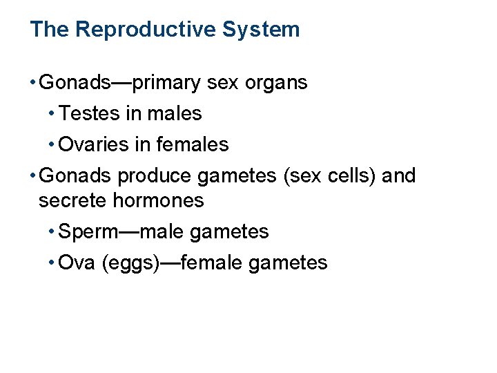 The Reproductive System • Gonads—primary sex organs • Testes in males • Ovaries in