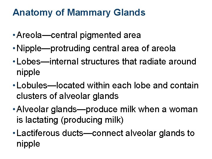 Anatomy of Mammary Glands • Areola—central pigmented area • Nipple—protruding central area of areola