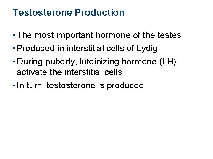 Testosterone Production • The most important hormone of the testes • Produced in interstitial