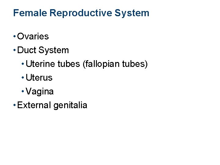 Female Reproductive System • Ovaries • Duct System • Uterine tubes (fallopian tubes) •