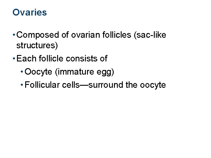 Ovaries • Composed of ovarian follicles (sac-like structures) • Each follicle consists of •