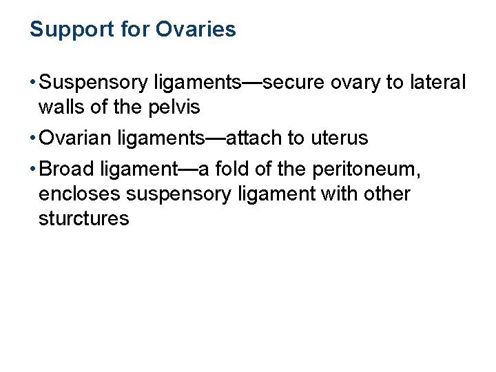 Support for Ovaries • Suspensory ligaments—secure ovary to lateral walls of the pelvis •