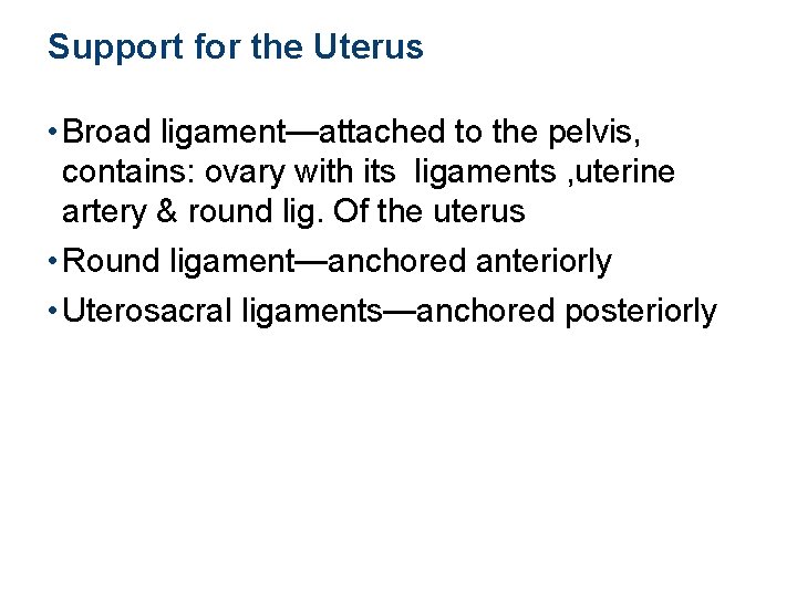 Support for the Uterus • Broad ligament—attached to the pelvis, contains: ovary with its Support for the Uterus • Broad ligament—attached to the pelvis, contains: ovary with its