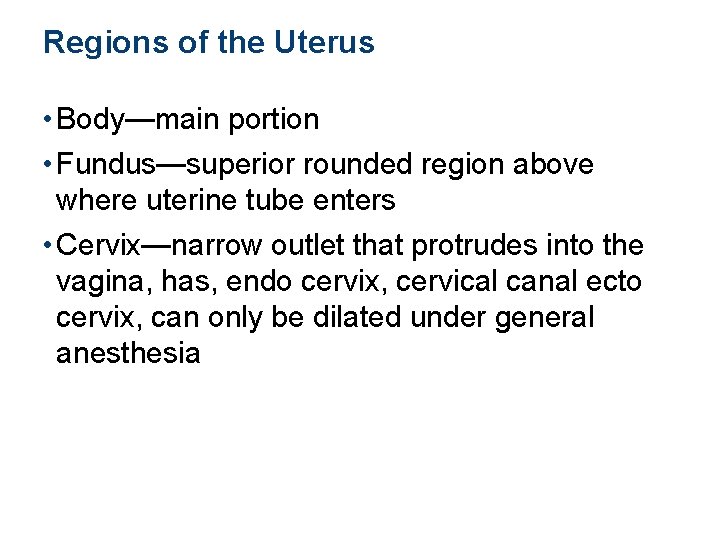 Regions of the Uterus • Body—main portion • Fundus—superior rounded region above where uterine