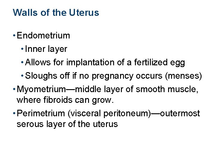 Walls of the Uterus • Endometrium • Inner layer • Allows for implantation of