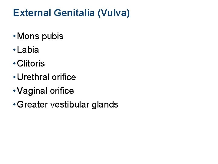 External Genitalia (Vulva) • Mons pubis • Labia • Clitoris • Urethral orifice •