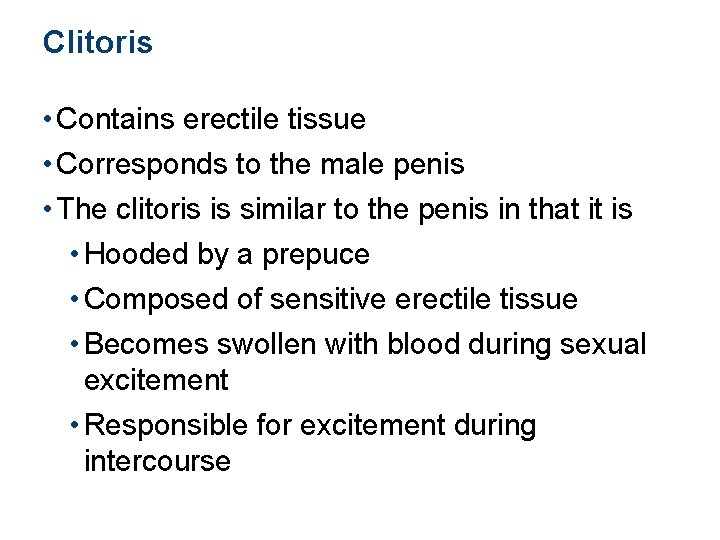 Clitoris • Contains erectile tissue • Corresponds to the male penis • The clitoris