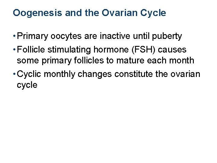 Oogenesis and the Ovarian Cycle • Primary oocytes are inactive until puberty • Follicle