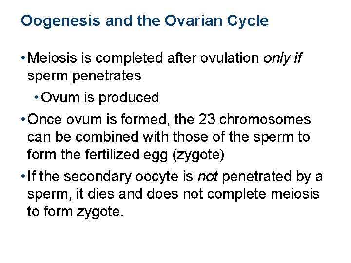 Oogenesis and the Ovarian Cycle • Meiosis is completed after ovulation only if sperm