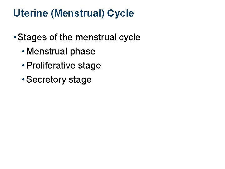 Uterine (Menstrual) Cycle • Stages of the menstrual cycle • Menstrual phase • Proliferative