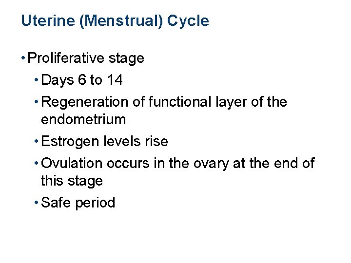 Uterine (Menstrual) Cycle • Proliferative stage • Days 6 to 14 • Regeneration of