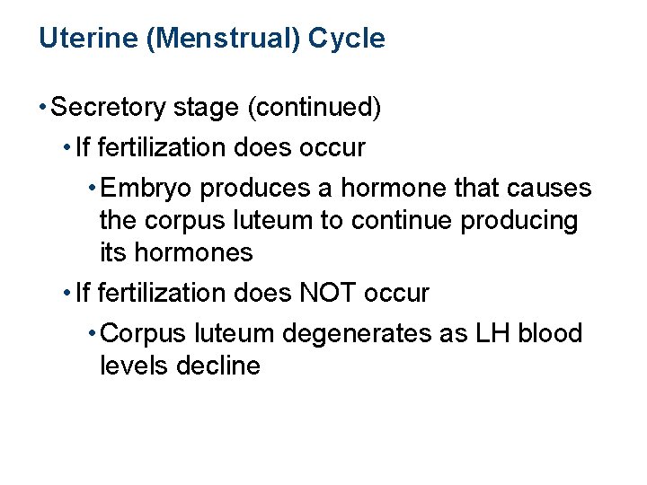 Uterine (Menstrual) Cycle • Secretory stage (continued) • If fertilization does occur • Embryo