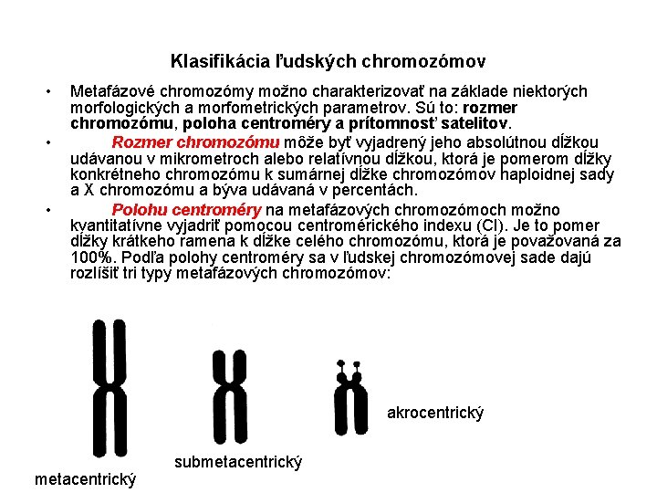 Klasifikácia ľudských chromozómov • • • Metafázové chromozómy možno charakterizovať na základe niektorých morfologických