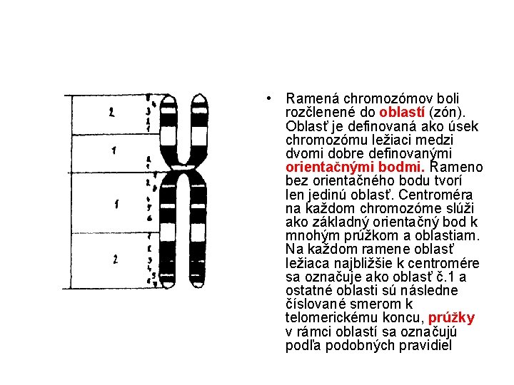  • Ramená chromozómov boli rozčlenené do oblastí (zón). Oblasť je definovaná ako úsek