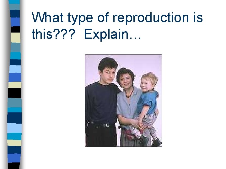 What type of reproduction is this? ? ? Explain… 