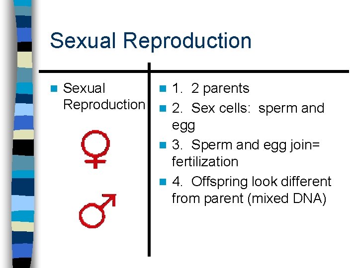 Sexual Reproduction n Sexual n 1. 2 parents Reproduction n 2. Sex cells: sperm