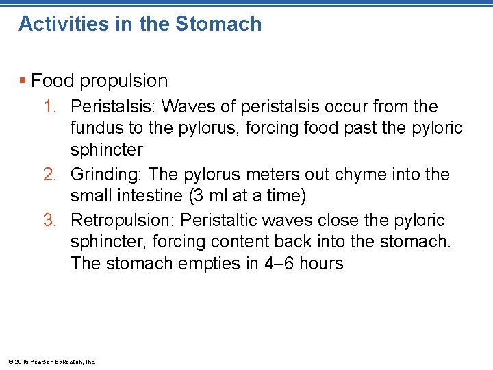 Activities in the Stomach § Food propulsion 1. Peristalsis: Waves of peristalsis occur from