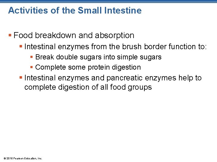 Activities of the Small Intestine § Food breakdown and absorption § Intestinal enzymes from