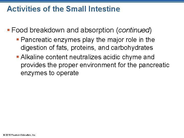 Activities of the Small Intestine § Food breakdown and absorption (continued) § Pancreatic enzymes