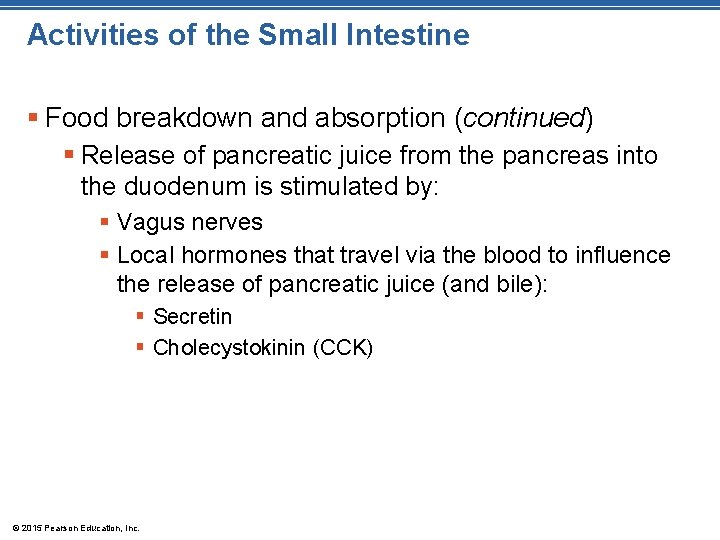 Activities of the Small Intestine § Food breakdown and absorption (continued) § Release of