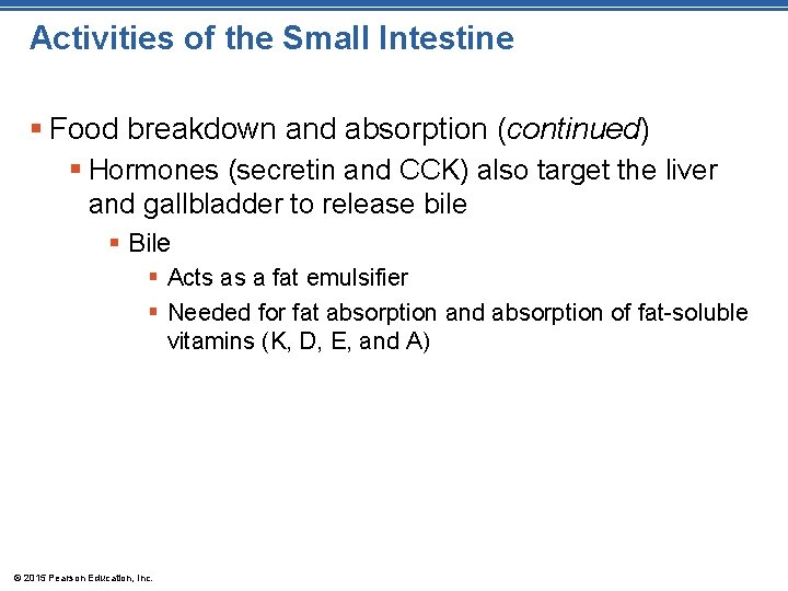Activities of the Small Intestine § Food breakdown and absorption (continued) § Hormones (secretin