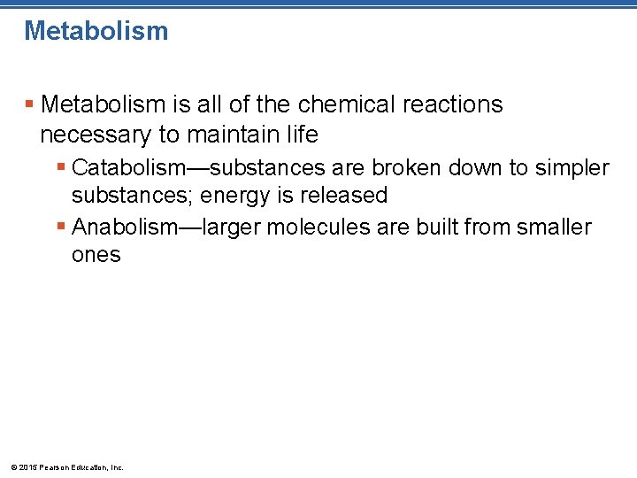 Metabolism § Metabolism is all of the chemical reactions necessary to maintain life §