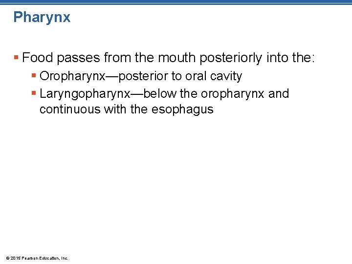 Pharynx § Food passes from the mouth posteriorly into the: § Oropharynx—posterior to oral