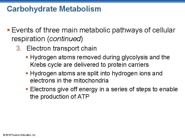 Carbohydrate Metabolism § Events of three main metabolic pathways of cellular respiration (continued) 3.