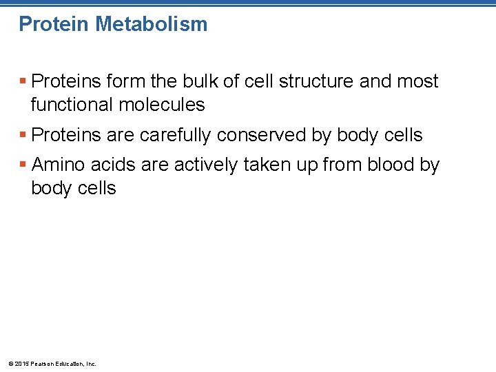 Protein Metabolism § Proteins form the bulk of cell structure and most functional molecules