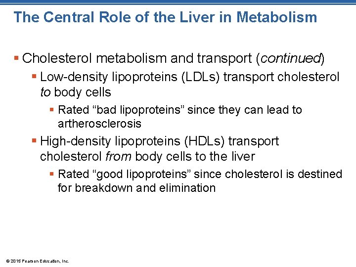 The Central Role of the Liver in Metabolism § Cholesterol metabolism and transport (continued)