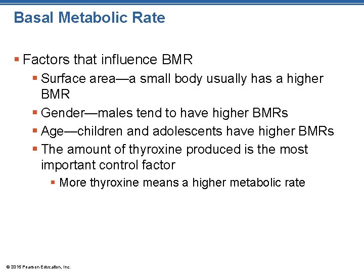 Basal Metabolic Rate § Factors that influence BMR § Surface area—a small body usually