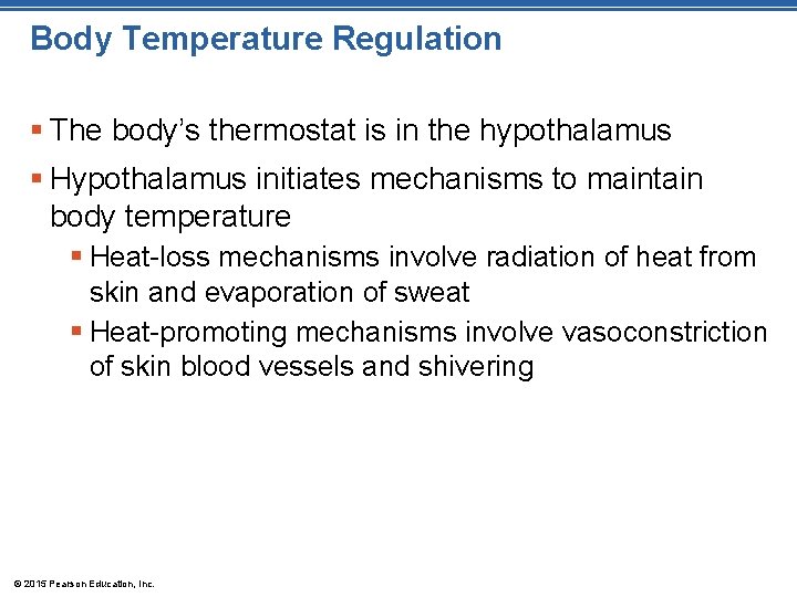 Body Temperature Regulation § The body’s thermostat is in the hypothalamus § Hypothalamus initiates