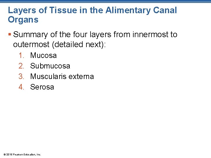 Layers of Tissue in the Alimentary Canal Organs § Summary of the four layers