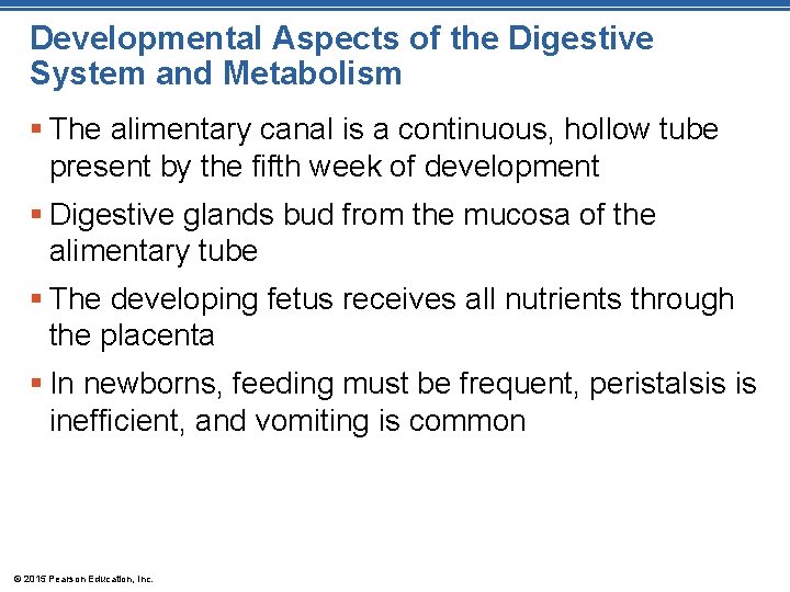 Developmental Aspects of the Digestive System and Metabolism § The alimentary canal is a