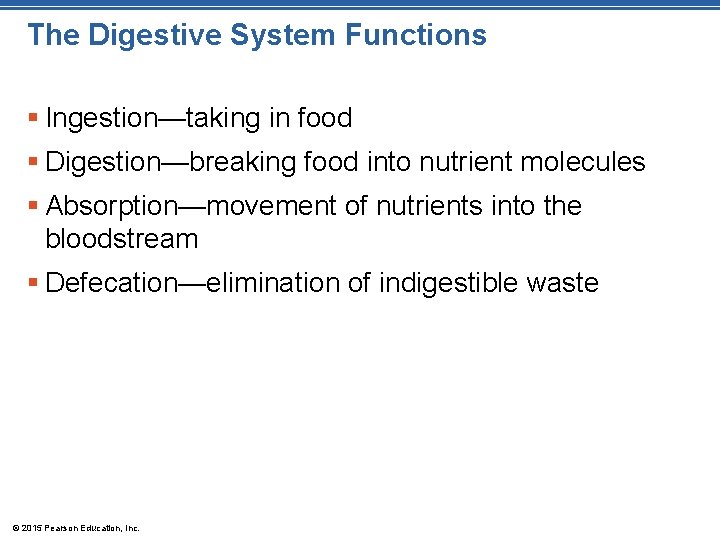 The Digestive System Functions § Ingestion—taking in food § Digestion—breaking food into nutrient molecules