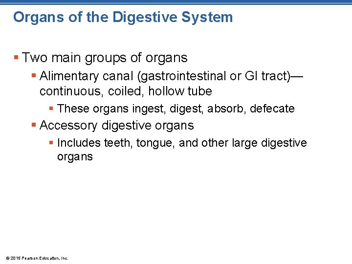 Organs of the Digestive System § Two main groups of organs § Alimentary canal
