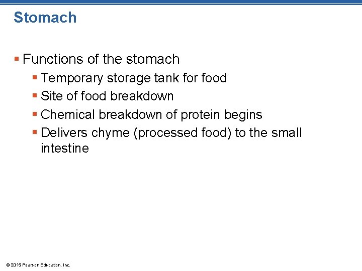 Stomach § Functions of the stomach § Temporary storage tank for food § Site
