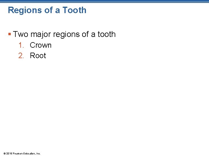 Regions of a Tooth § Two major regions of a tooth 1. Crown 2.