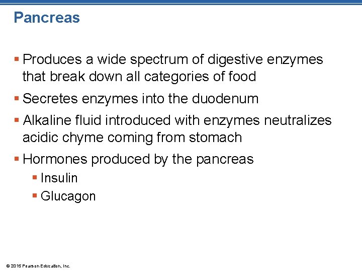 Pancreas § Produces a wide spectrum of digestive enzymes that break down all categories